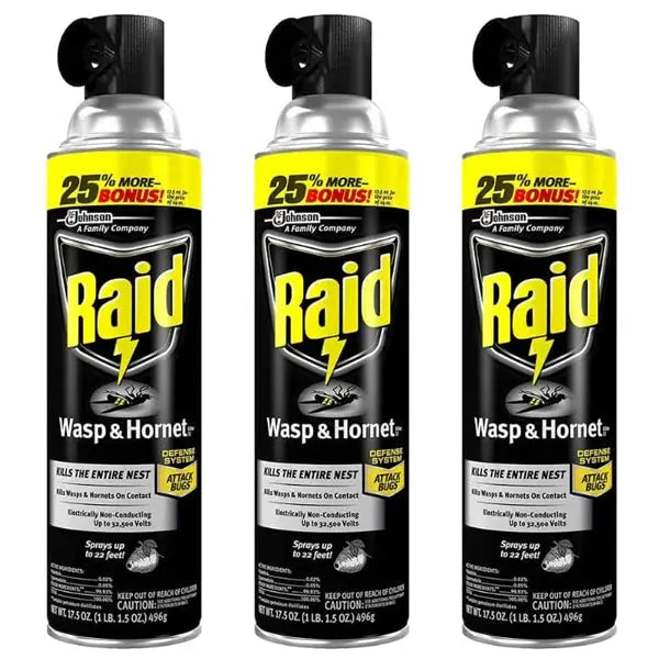 3 Pack - Raid Wasp and Hornet Killer 22 Foot Spray 17.5oz RAID
